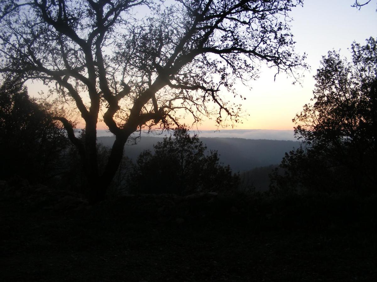 Lou Papagai Bed and Breakfast Saint-Antonin Buitenkant foto